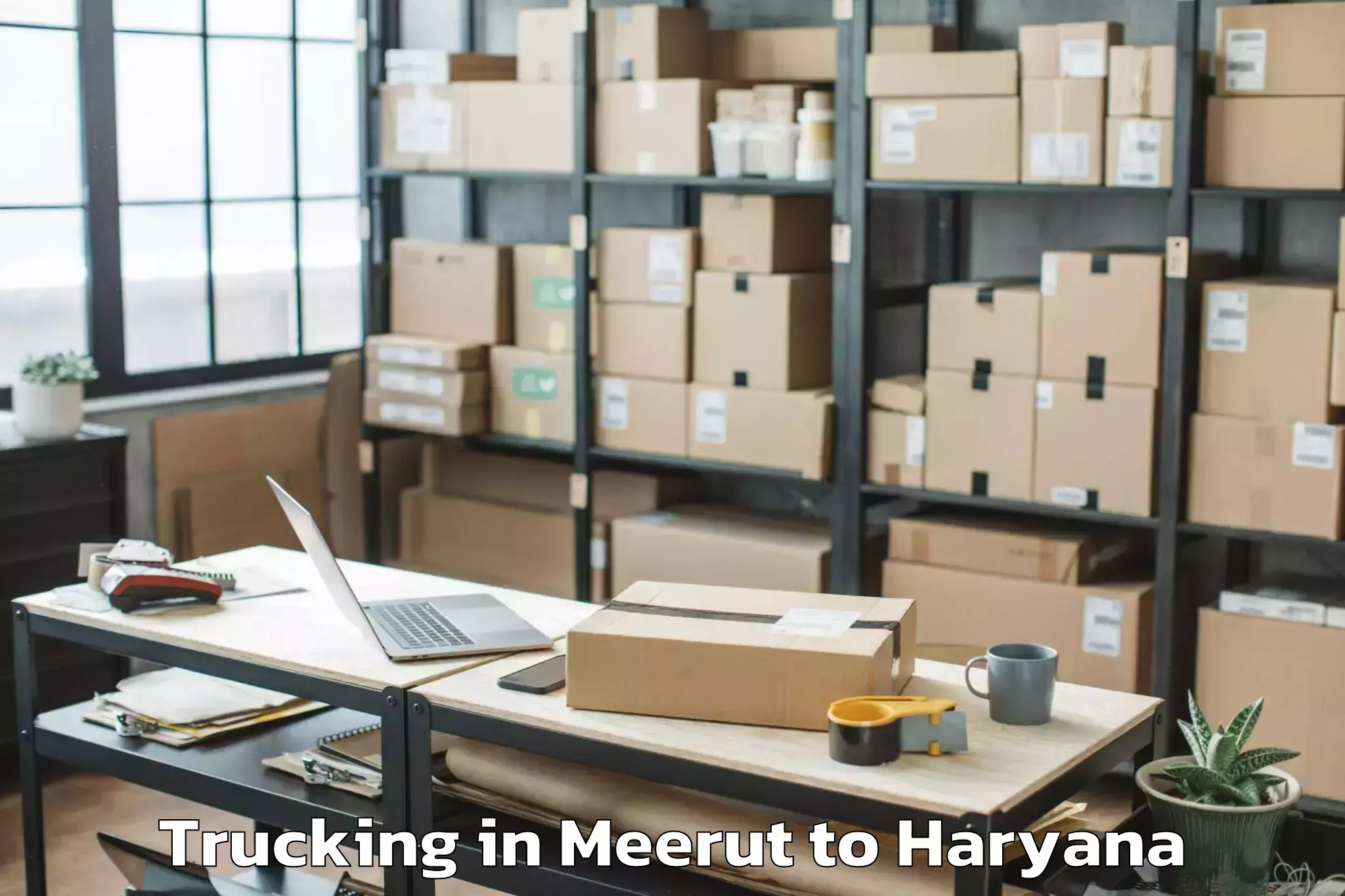 Hassle-Free Meerut to Mahendragarh Trucking